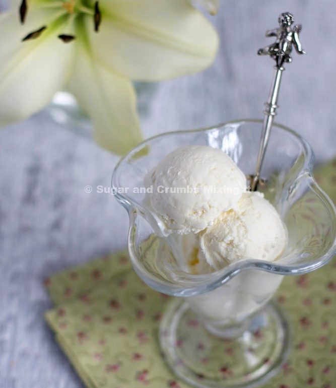 Fat free Velvet Vanilla ice cream served with fresh fruit