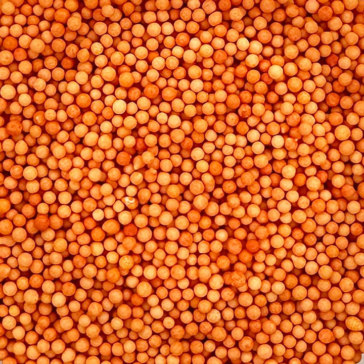 100s and 1000s - Matt - Orange
