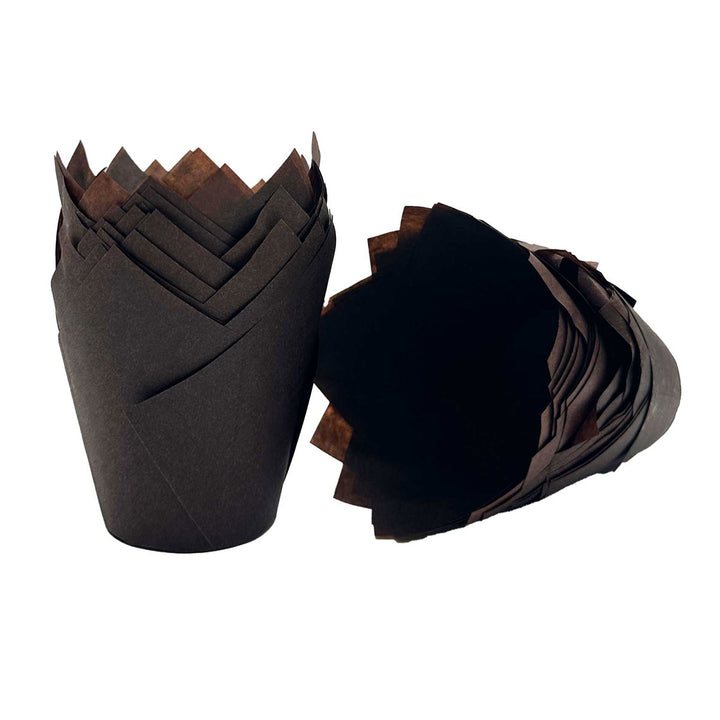 Muffin Tulips - Chocolate Brown