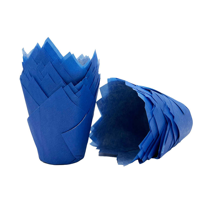 Muffin Tulips - Blue