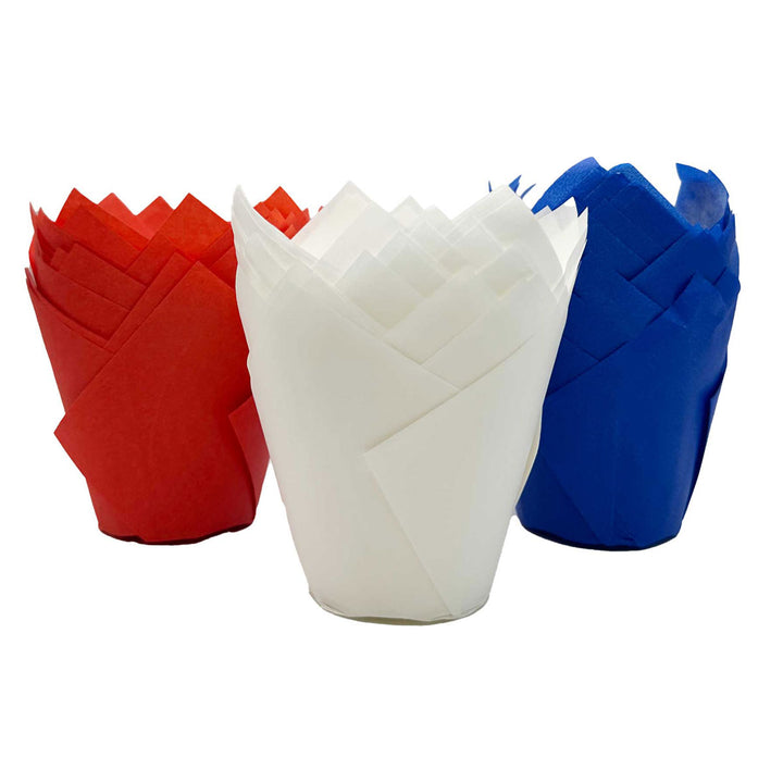 Muffin Tulips - Red White and Blue Mix x 50