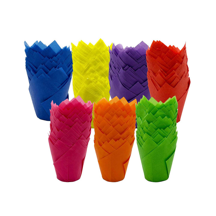 Muffin Tulips - Rainbow Mix x 50