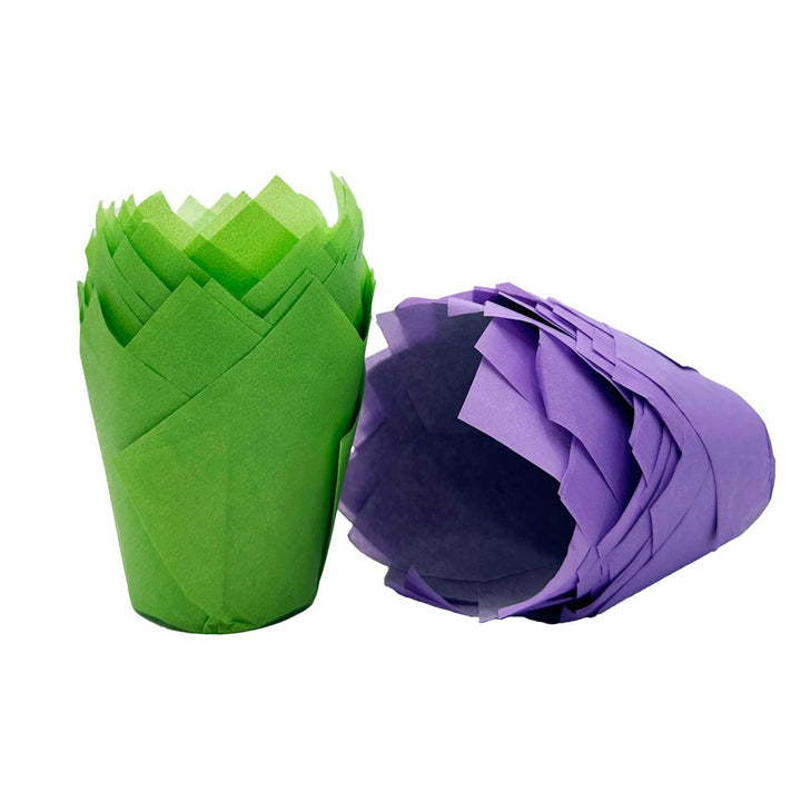 Muffin Tulips - Halloween Purple and Green Mix x 50