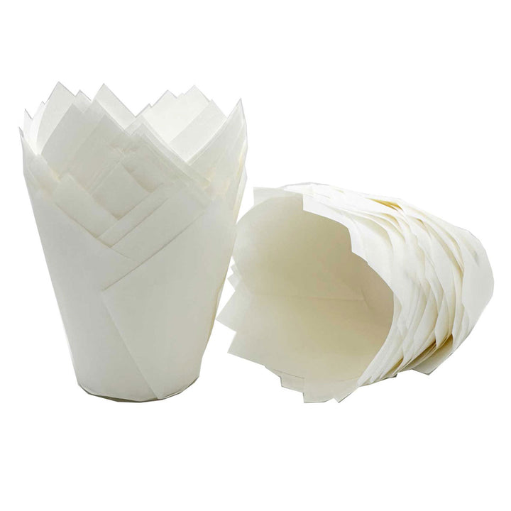 Muffin Tulips - White