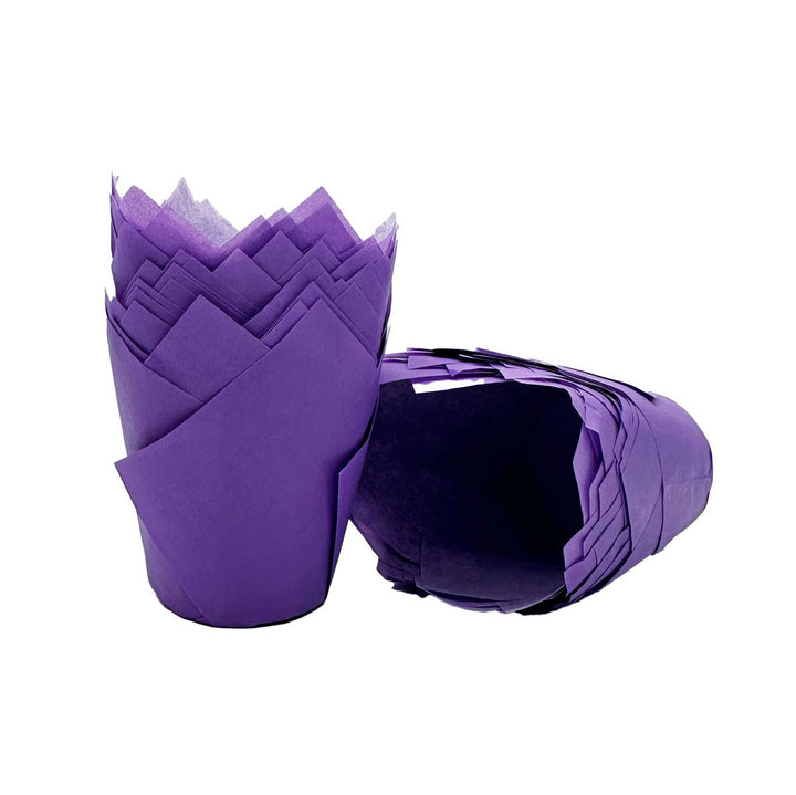 Muffin Tulips - Purple