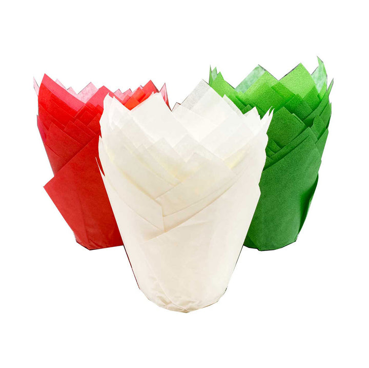 Muffin Tulips - Red White and Green Mix x 50