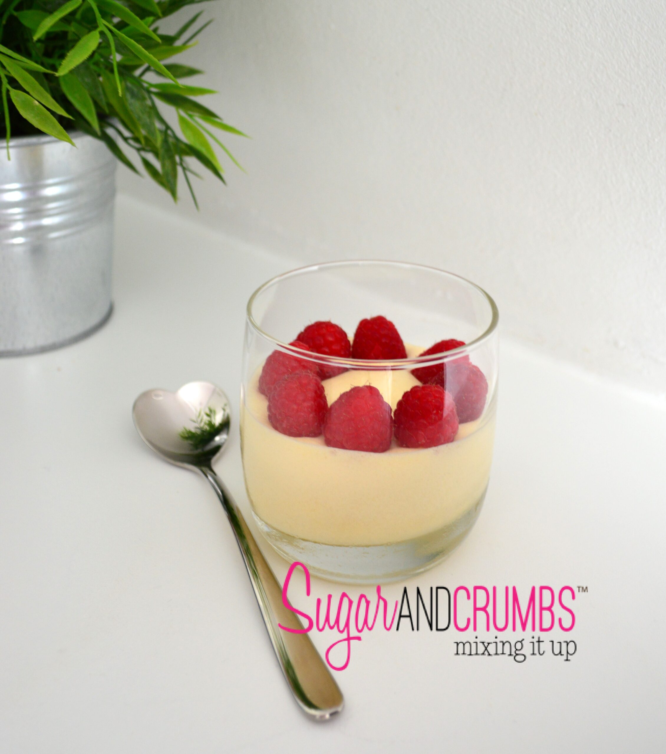 White Chocolate and Raspberry Mousse