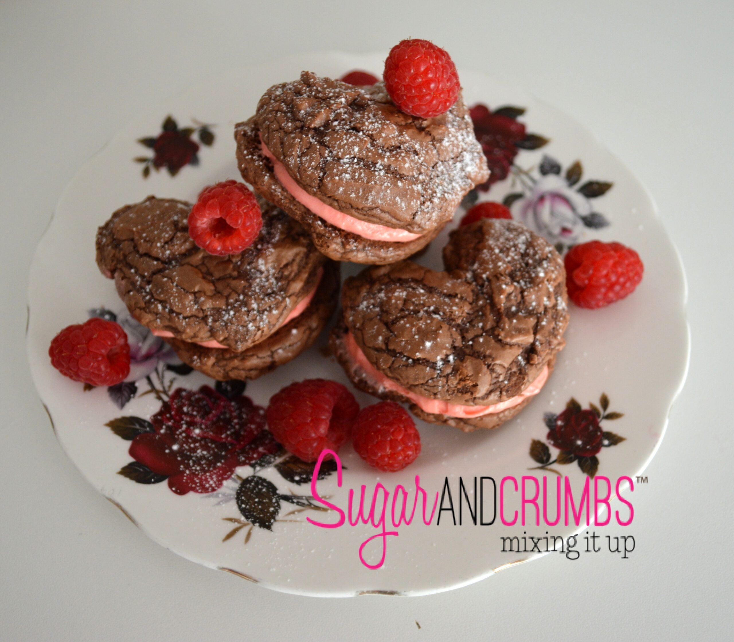 Dark Chocolate Raspberry Whoopie Pies