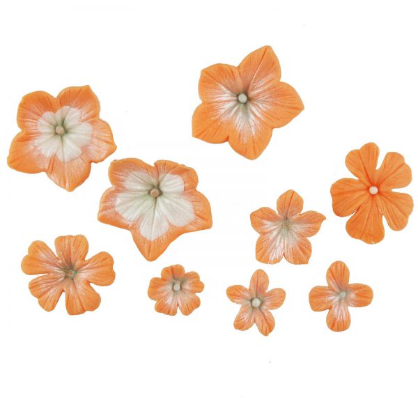 MULTI Set Petunia