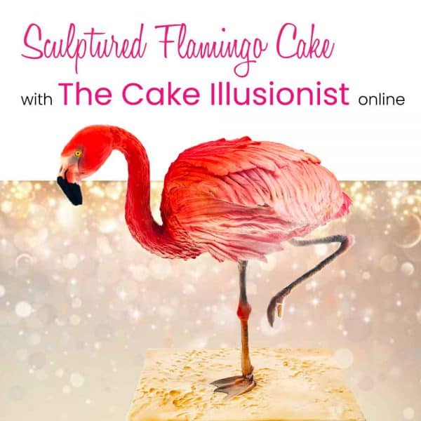 The Cake Illusionist - Flamingo Cake - Online