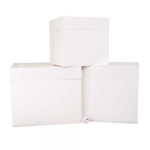 TALL Cake Box With Lid White 10x10x10 inch Pack of 1