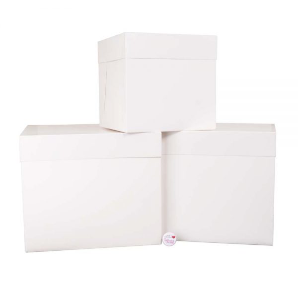 TALL Cake Box With Lid White 10x10x10 inch Pack of 1