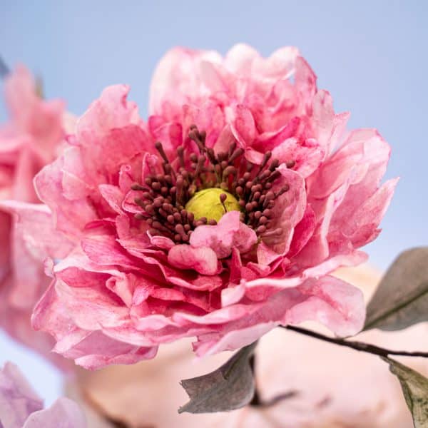 Wafer Flowers Demo with Siân Forward-Martin.b