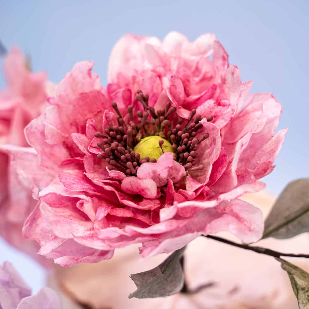Wafer Flowers Demo with Siân Forward-Martin.b