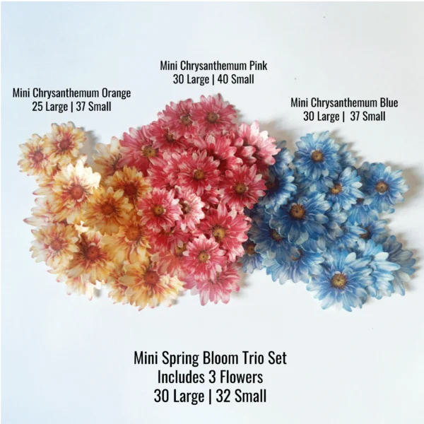 Edible - Mini Chrysanthemum - Blue