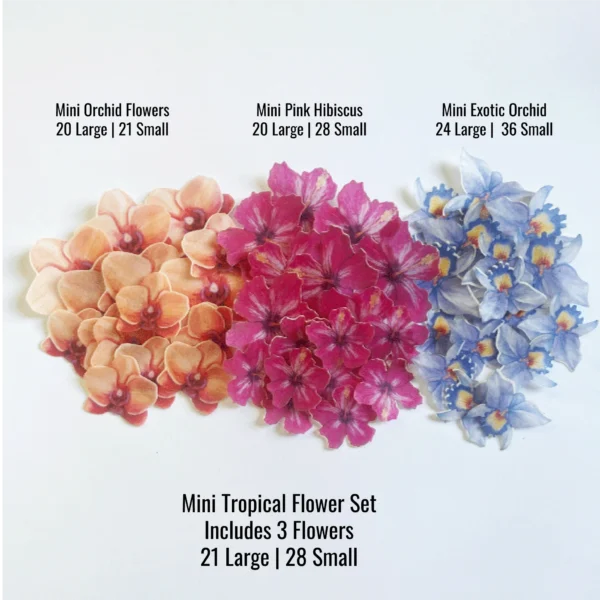 Edible - Mini Hibiscus - Pink