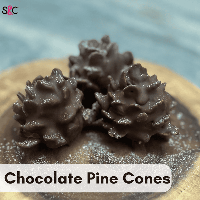 chocolate pine cone recipe